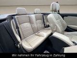 Renault Megane III bei Gebrauchtwagen.expert - Abbildung (15 / 15) Renault Megane III bei Gebrauchtwagen.expert - Abbildung (15 / 15)