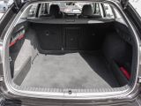 Skoda Octavia bei Gebrauchtwagen.expert - Abbildung (8 / 15)