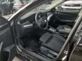 Skoda Octavia bei Gebrauchtwagen.expert - Abbildung (5 / 11)