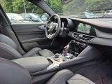 Alfa Romeo Giulia bei Gebrauchtwagen.expert - Abbildung (7 / 15)
