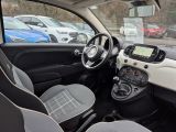 Fiat 500 bei Gebrauchtwagen.expert - Abbildung (8 / 15)
