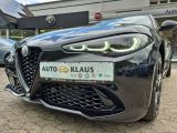 Alfa Romeo Giulia bei Gebrauchtwagen.expert - Abbildung (6 / 15)