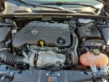 Opel Insignia bei Gebrauchtwagen.expert - Abbildung (14 / 15)
