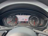 Audi A4 Allroad Quattro bei Gebrauchtwagen.expert - Abbildung (8 / 15)