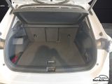 VW Tiguan bei Gebrauchtwagen.expert - Abbildung (6 / 15)