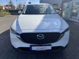 Mazda CX 5 bei Gebrauchtwagen.expert - Abbildung (6 / 15)