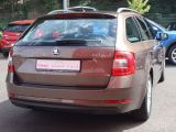 Skoda Octavia bei Gebrauchtwagen.expert - Abbildung (5 / 15)