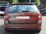 Skoda Octavia bei Gebrauchtwagen.expert - Abbildung (4 / 15)