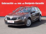 Skoda Octavia bei Gebrauchtwagen.expert - Abbildung (2 / 15)