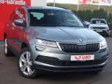 Skoda Karoq bei Gebrauchtwagen.expert - Abbildung (6 / 15)