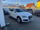 Audi Q5 bei Gebrauchtwagen.expert - Abbildung (4 / 13)