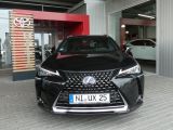 Lexus UX bei Gebrauchtwagen.expert - Abbildung (5 / 15)