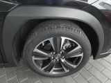 Lexus UX bei Gebrauchtwagen.expert - Abbildung (12 / 15)
