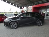 Lexus UX bei Gebrauchtwagen.expert - Abbildung (2 / 15)