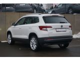 Skoda Karoq bei Gebrauchtwagen.expert - Abbildung (3 / 15)