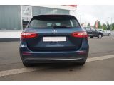 Mercedes-Benz B-Klasse bei Gebrauchtwagen.expert - Abbildung (7 / 15)