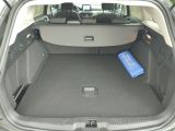Ford Focus Turnier bei Gebrauchtwagen.expert - Abbildung (14 / 15)