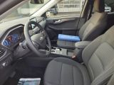 Ford Kuga bei Gebrauchtwagen.expert - Abbildung (8 / 9)