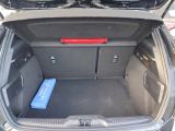 Ford Focus ST bei Gebrauchtwagen.expert - Abbildung (14 / 15)