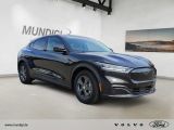 Ford Mustang Mach-E bei Gebrauchtwagen.expert - Abbildung (6 / 15)