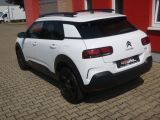 Citroen C4 Cactus bei Gebrauchtwagen.expert - Abbildung (8 / 15)