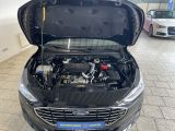 Ford Focus bei Gebrauchtwagen.expert - Abbildung (11 / 15)