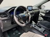 Ford Kuga bei Gebrauchtwagen.expert - Abbildung (11 / 15)