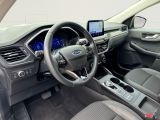 Ford Kuga bei Gebrauchtwagen.expert - Abbildung (11 / 15)