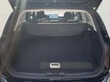 Ford Focus Turnier bei Gebrauchtwagen.expert - Abbildung (8 / 15)