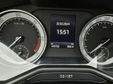 Skoda Superb bei Gebrauchtwagen.expert - Abbildung (6 / 15)