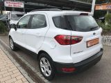 Ford EcoSport bei Gebrauchtwagen.expert - Abbildung (7 / 13)