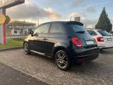 Fiat 500 bei Gebrauchtwagen.expert - Abbildung (6 / 15)