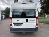 Fiat Ducato bei Gebrauchtwagen.expert - Abbildung (4 / 15)