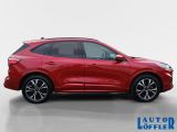 Ford Kuga bei Gebrauchtwagen.expert - Abbildung (6 / 15)
