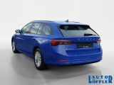 Skoda Octavia bei Gebrauchtwagen.expert - Abbildung (3 / 15)