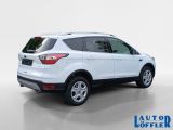 Ford Kuga bei Gebrauchtwagen.expert - Abbildung (5 / 15)