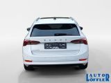 Skoda Octavia bei Gebrauchtwagen.expert - Abbildung (4 / 15)