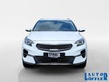 Kia XCeed bei Gebrauchtwagen.expert - Abbildung (8 / 15)