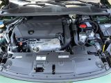 Peugeot 308 bei Gebrauchtwagen.expert - Abbildung (15 / 15)