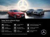 Mercedes-Benz EQE bei Gebrauchtwagen.expert - Abbildung (9 / 9)