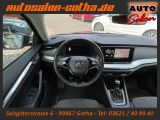 Skoda Octavia bei Gebrauchtwagen.expert - Abbildung (14 / 15)