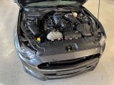 Ford Mustang bei Gebrauchtwagen.expert - Abbildung (14 / 15)