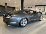 Ford Mustang bei Gebrauchtwagen.expert - Abbildung (9 / 15)