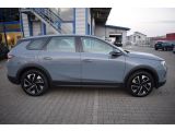 Opel Grandland X bei Gebrauchtwagen.expert - Abbildung (12 / 15)