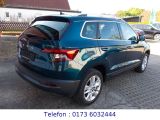 Skoda Karoq bei Gebrauchtwagen.expert - Abbildung (7 / 15)