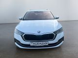 Skoda Octavia bei Gebrauchtwagen.expert - Abbildung (6 / 15)