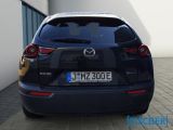 Mazda MX-30 bei Gebrauchtwagen.expert - Abbildung (4 / 15)