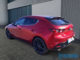 Mazda 3 bei Gebrauchtwagen.expert - Abbildung (4 / 15)