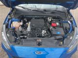Ford Focus bei Gebrauchtwagen.expert - Abbildung (8 / 8) Ford Focus bei Gebrauchtwagen.expert - Abbildung (8 / 8)