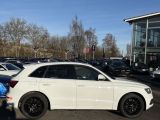Audi SQ5 bei Gebrauchtwagen.expert - Abbildung (8 / 15)